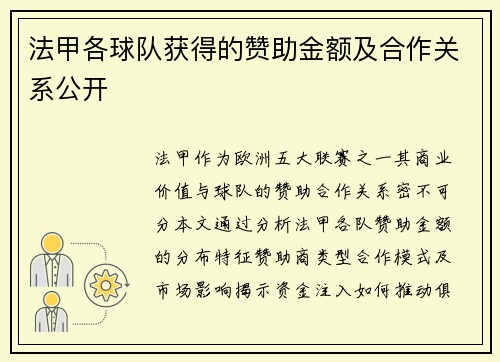 法甲各球队获得的赞助金额及合作关系公开